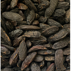 Herb Tonka Beans 8 Beans (Wishing Beans)